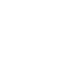 Flutter icon