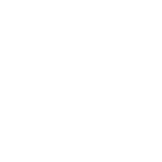 Developing a native mobile app is a great way to guarantee your users reliable data protection